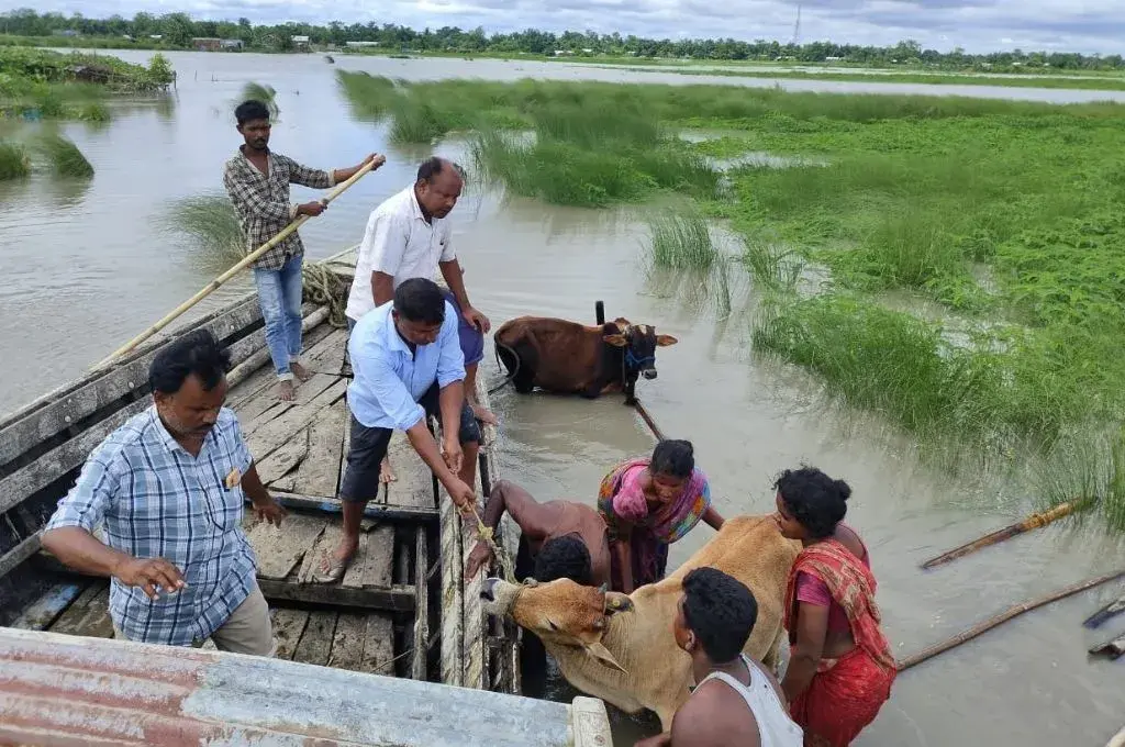 চাঁপাইনবাবগঞ্জের সুন্দরপুরের পদ্মায় বাড়ছে পানি