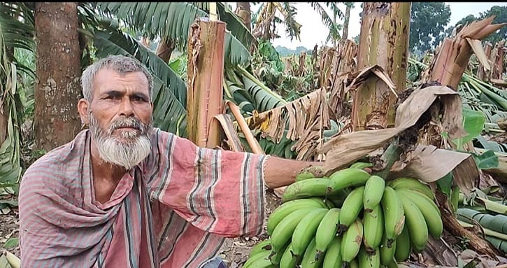 চুয়াডাঙ্গায় কালবৈশাখীর তাণ্ডবে ৬ কোটি টাকার ক্ষতি 